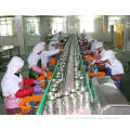 Auto ocean food canning processing tin canned machine